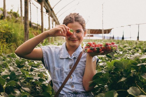 Votre fournisseur en engrais solubles pour vos cultures hors sol en Bretagne