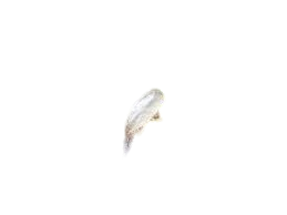 Auxiliaire thrips