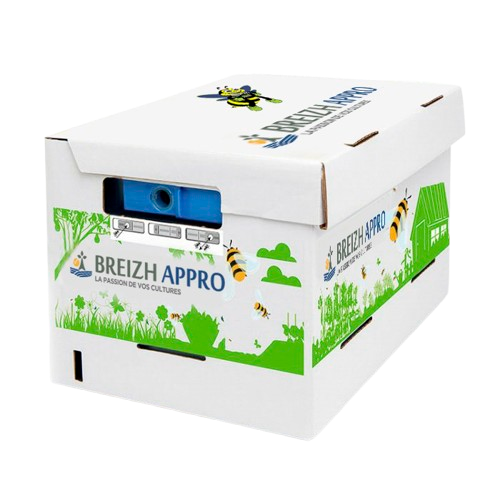 Ruche de bourdons pollinisateurs standard