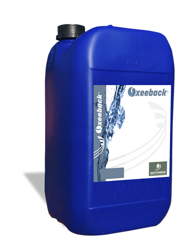 Oxeeback